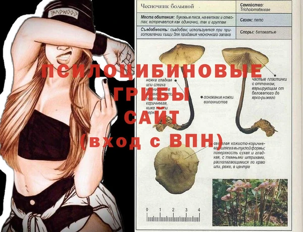 тгк Бугульма