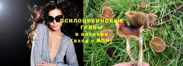 MDMA Бородино