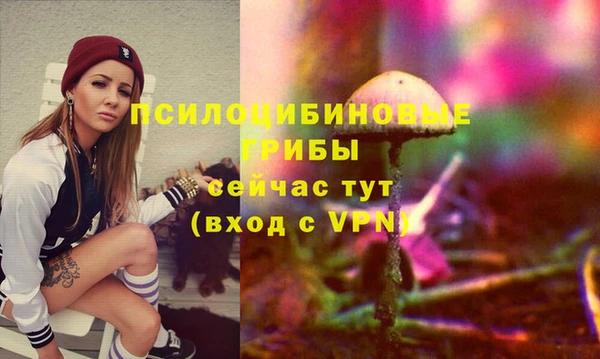 MDMA Бородино