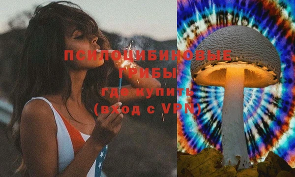 MDMA Бородино