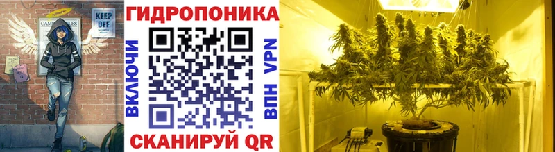 Канабис Ganja  Оса 